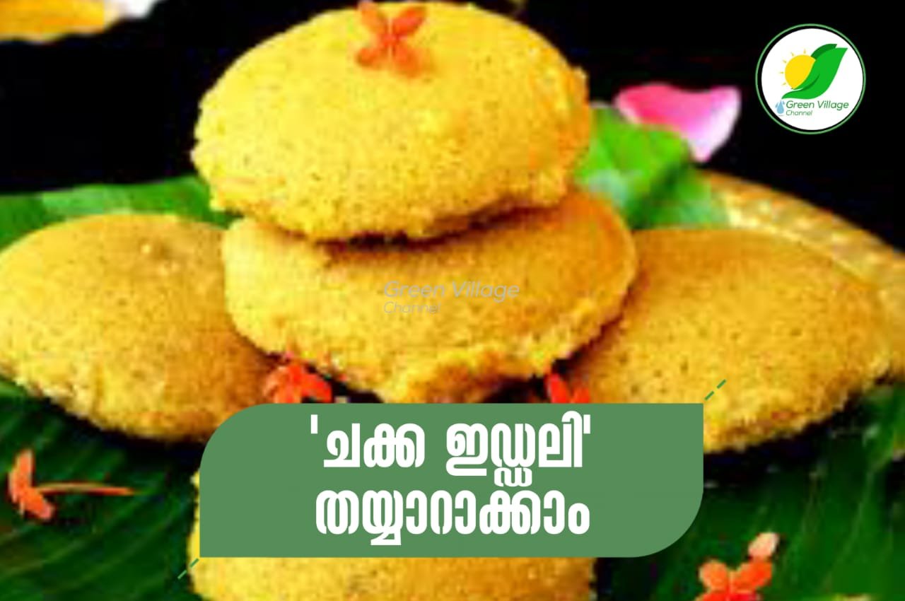 IMG 20230617 WA0040