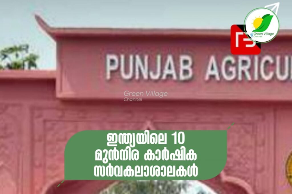 IMG 20230618 WA0022 1024x680