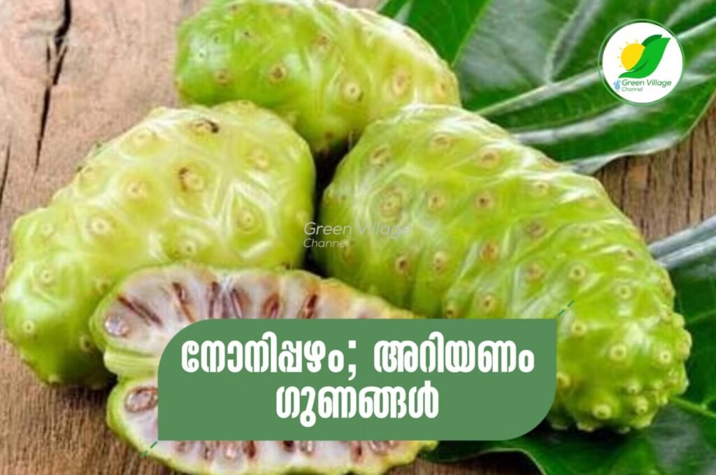 IMG 20230618 WA0055 1024x680