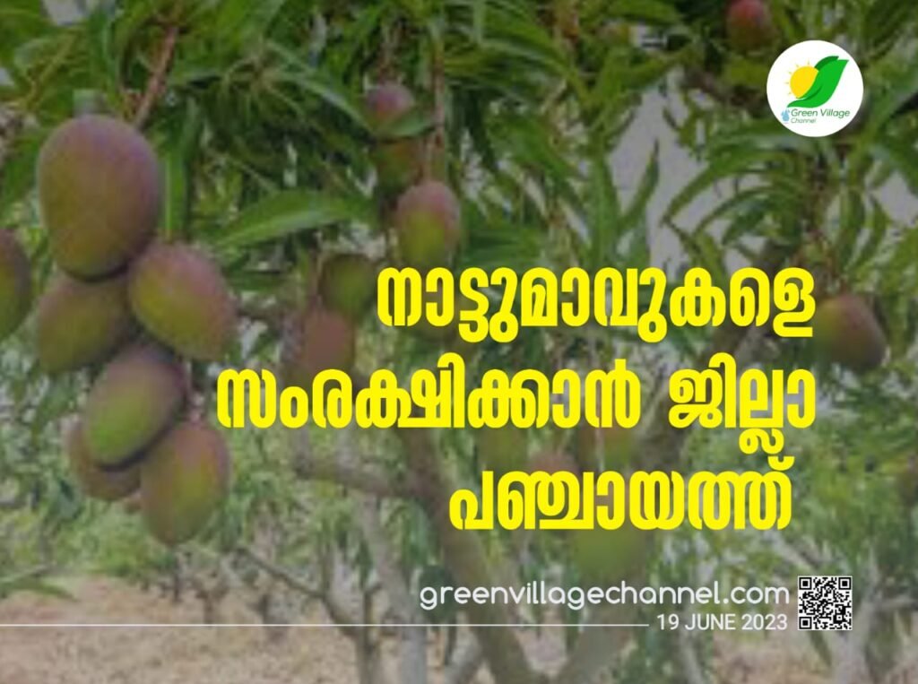 IMG 20230619 WA0007 1024x763