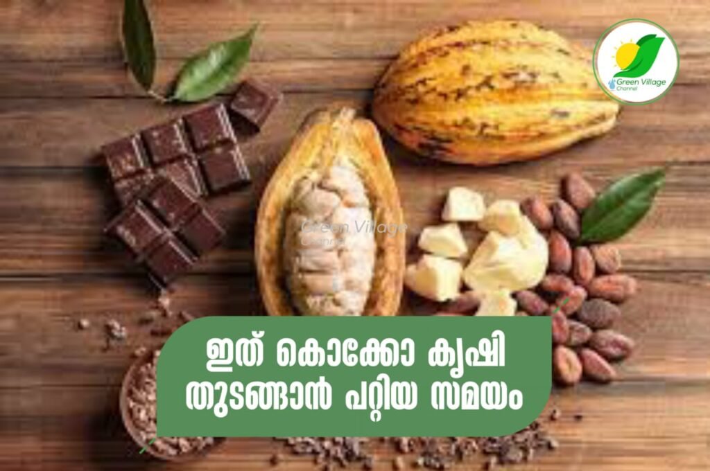 IMG 20230619 WA0016 1024x680