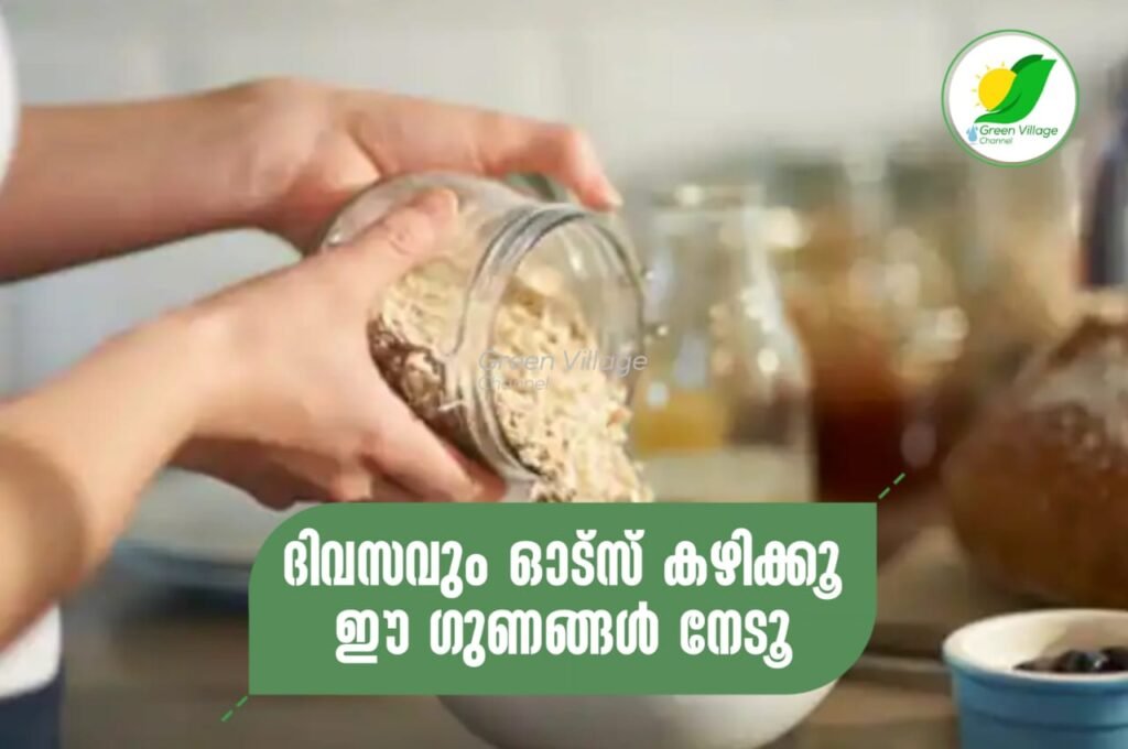 IMG 20230619 WA0018 1024x680