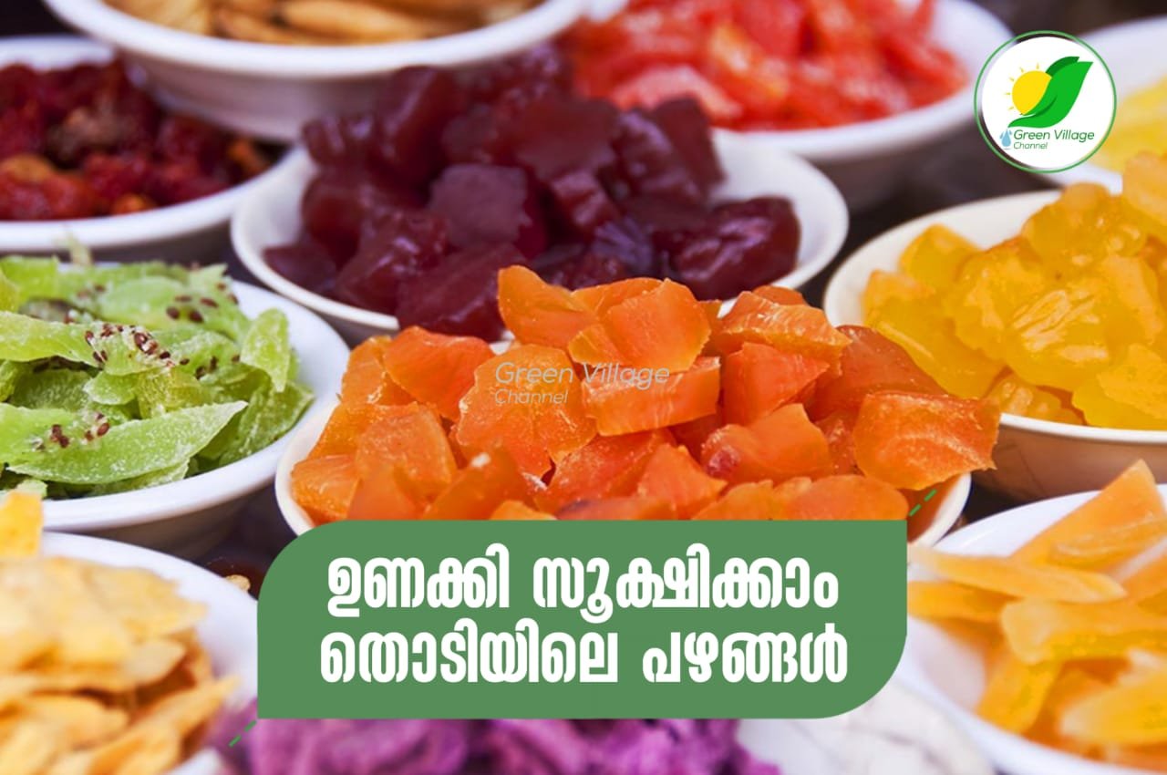 IMG 20230620 WA0021