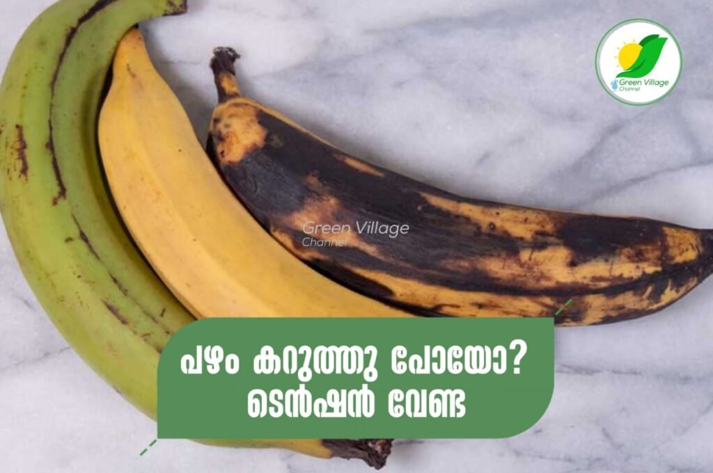 IMG 20230620 WA0022 1024x680