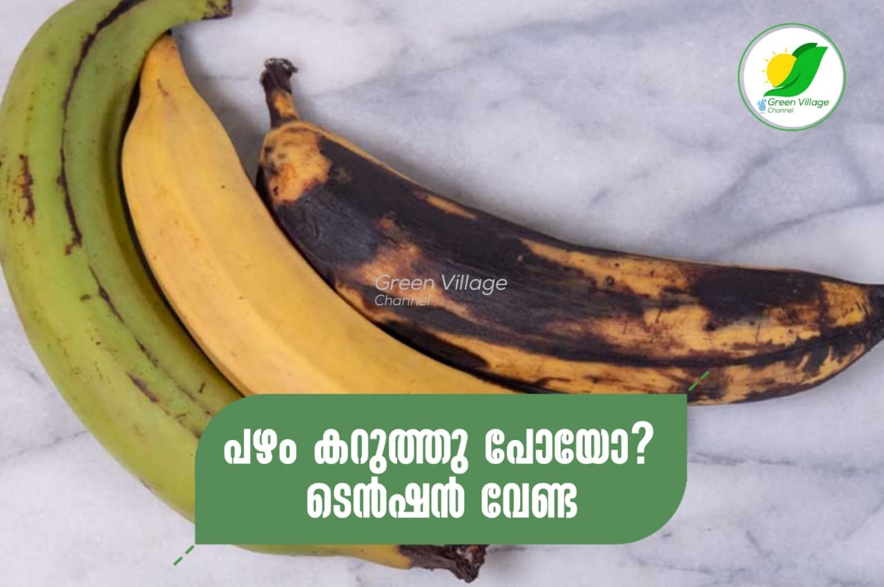 IMG 20230620 WA0022