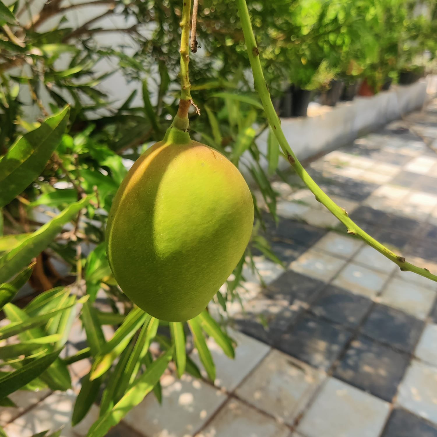 IMG 20230620 WA0252