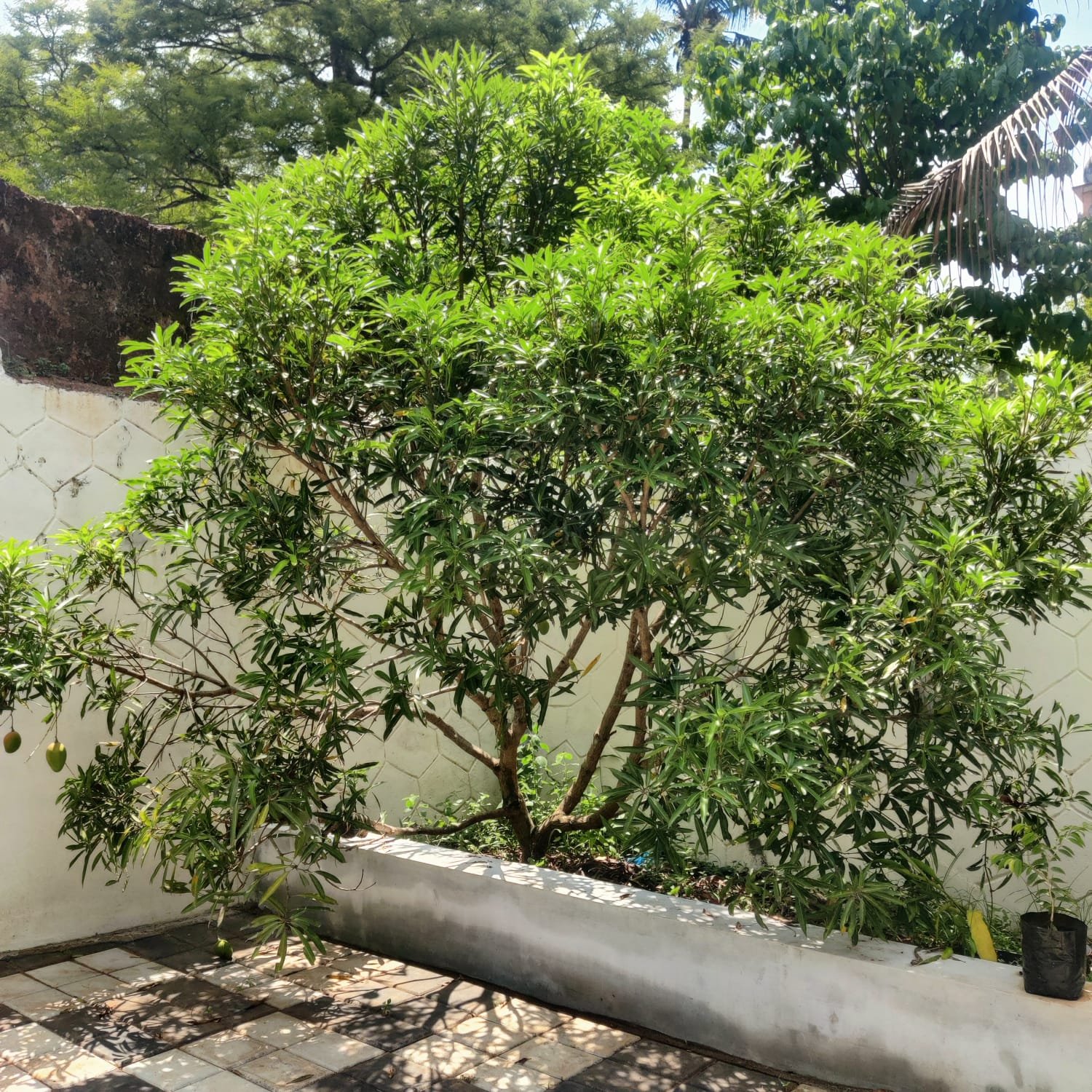 IMG 20230620 WA0255