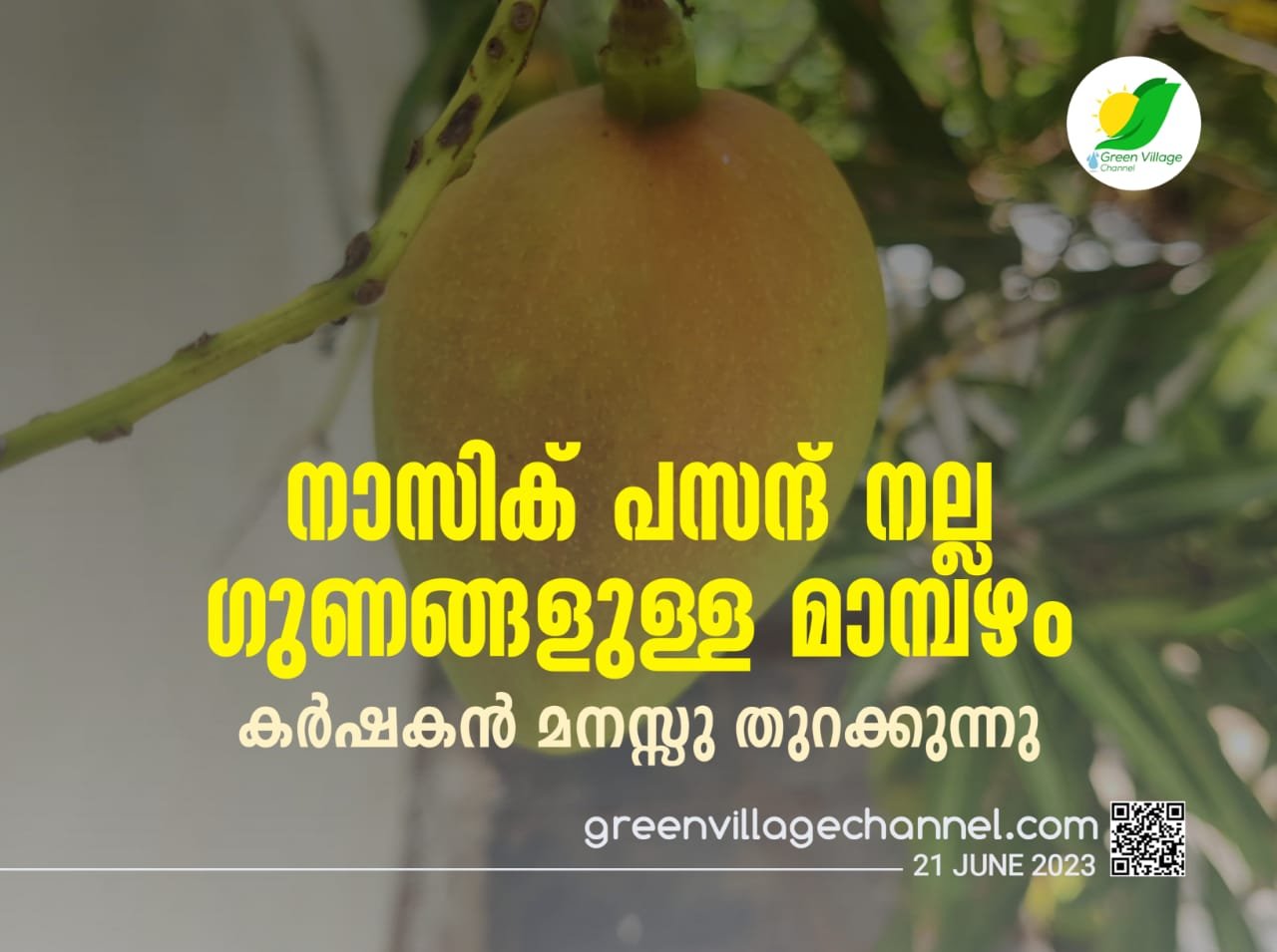 IMG 20230621 WA0000