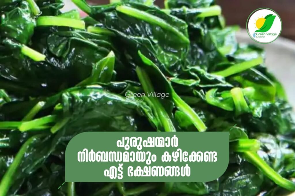പുരുഷന്മാര് നിര്ബന്ധമായും കഴിക്കേണ്ട എട്ട് ഭക്ഷണങ്ങള് ; കാരണം അറിയാം... | 8foods men must feed IMG 20230622 WA0028 1024x680