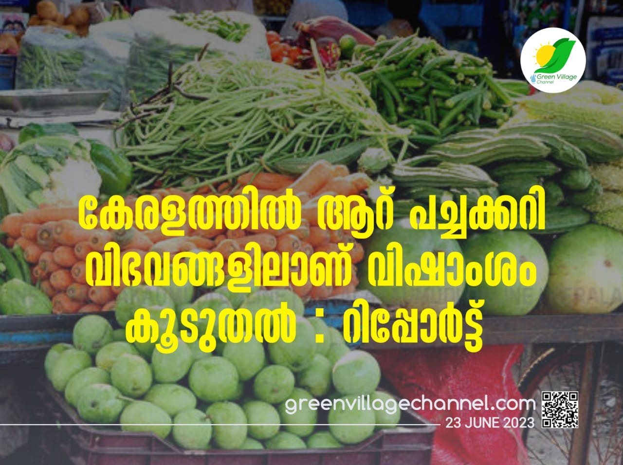 IMG 20230623 WA0022