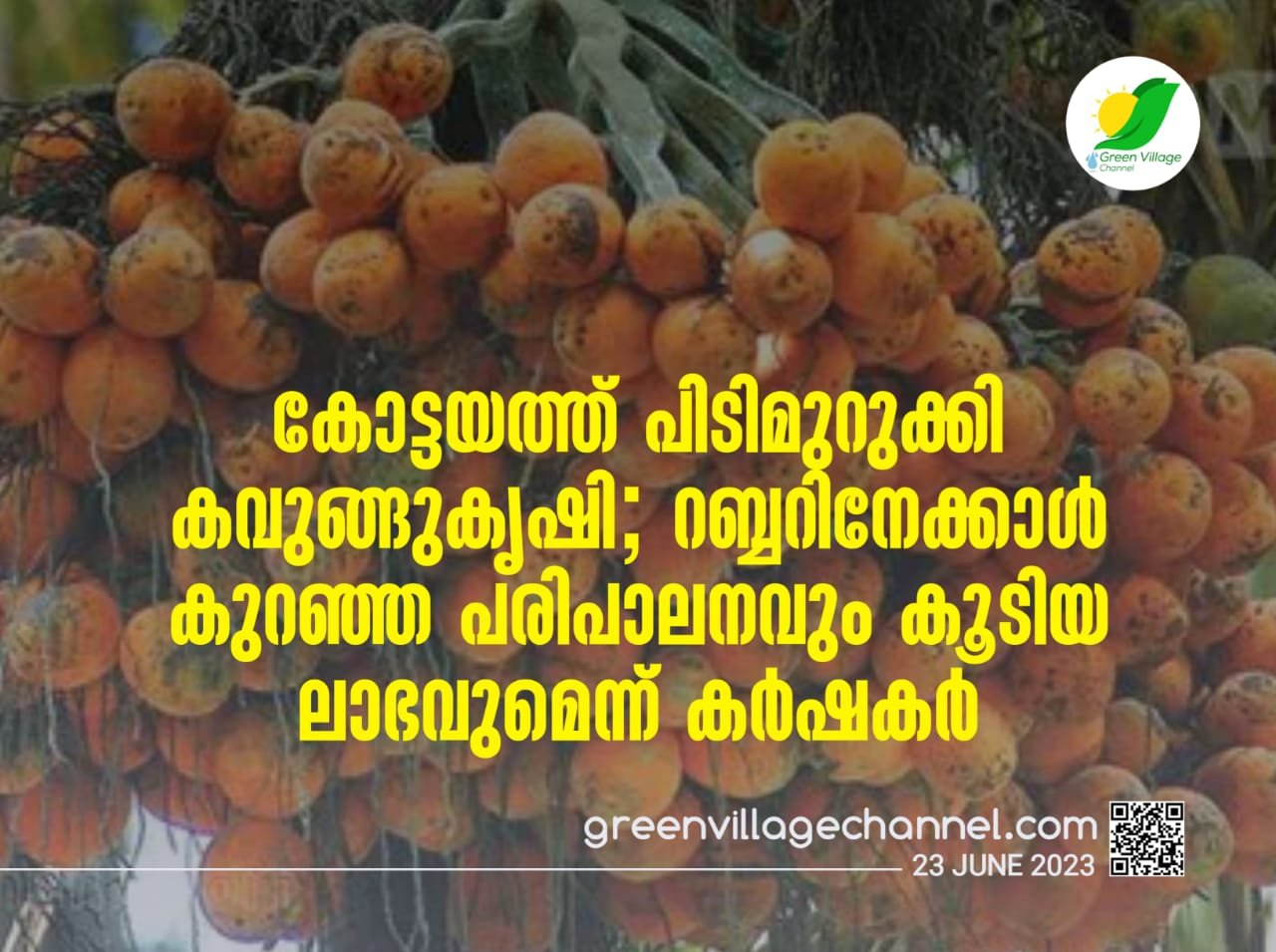 IMG 20230623 WA0026
