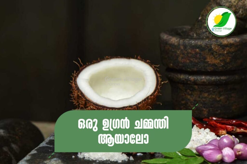 IMG 20230626 WA0038 1024x680