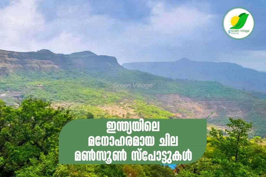 IMG 20230626 WA0050 1024x680