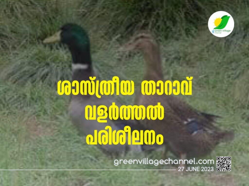 IMG 20230627 WA0004 1024x764