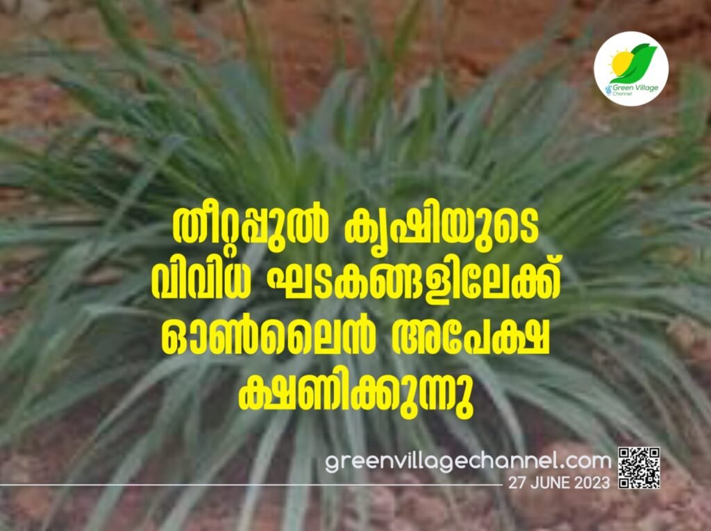 IMG 20230627 WA0006 1024x764