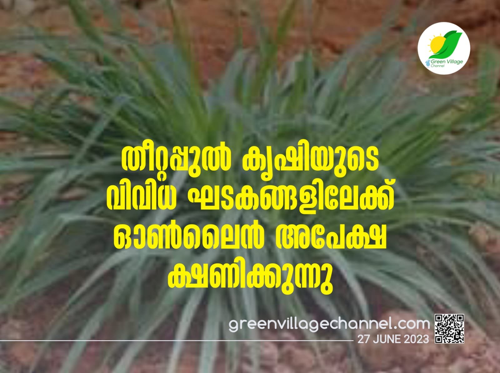 IMG 20230627 WA0006