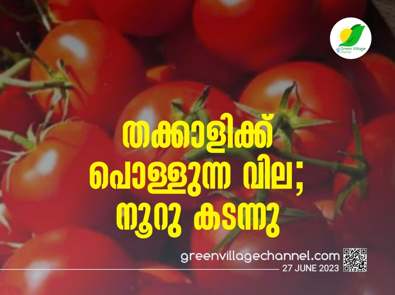 IMG 20230627 WA0103