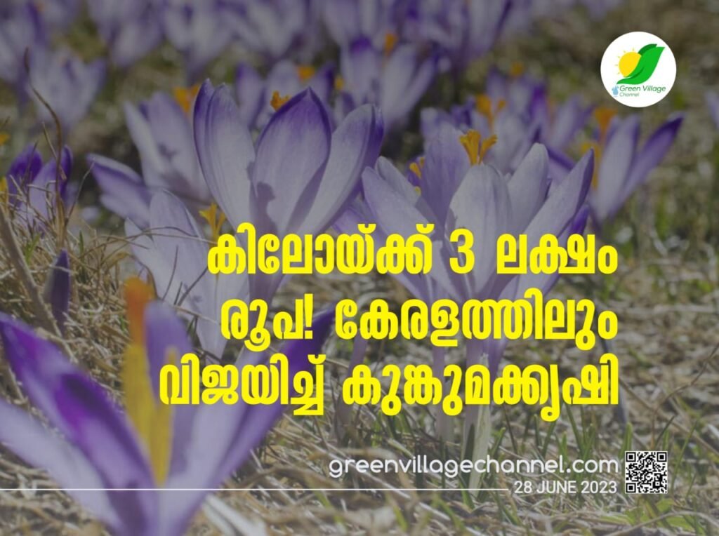 IMG 20230628 WA0007 1024x764