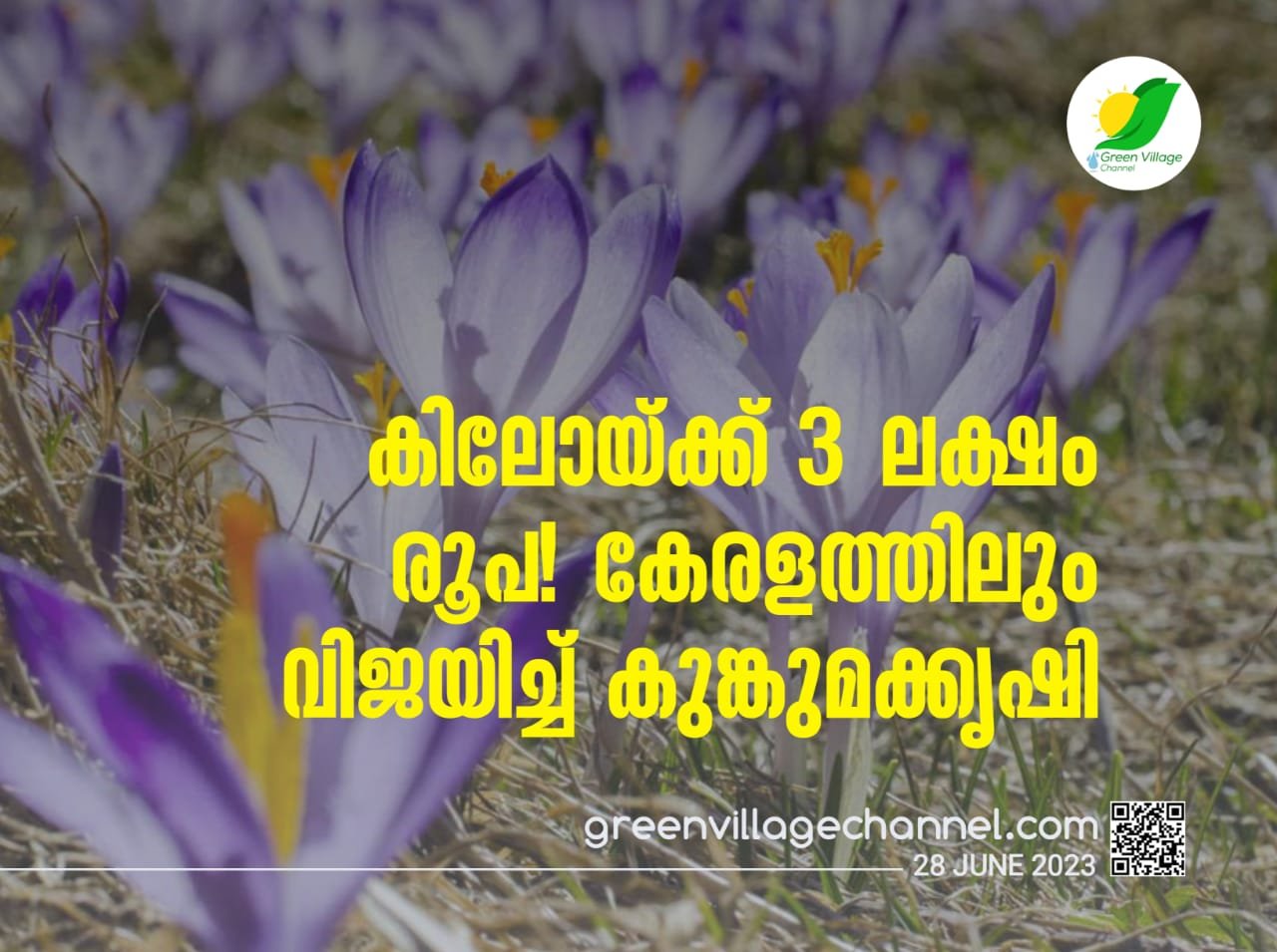 IMG 20230628 WA0007