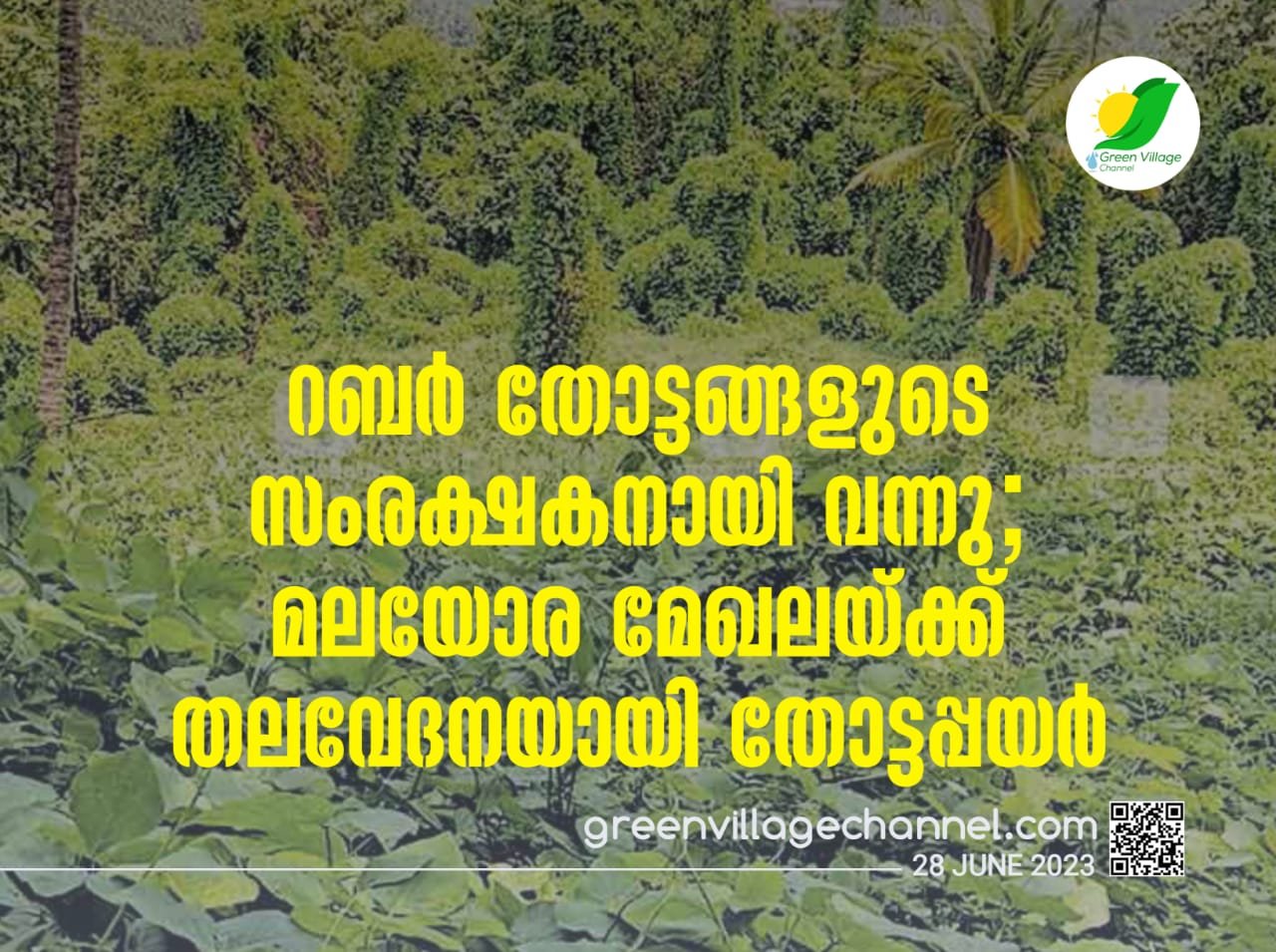 IMG 20230628 WA0030