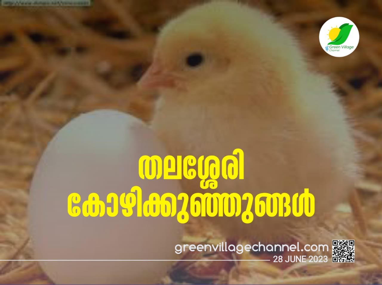 IMG 20230628 WA0031