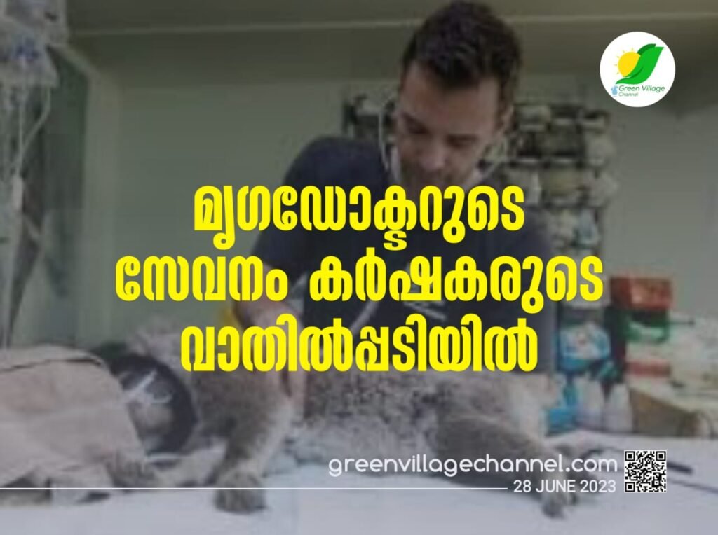 IMG 20230628 WA0033 1024x764