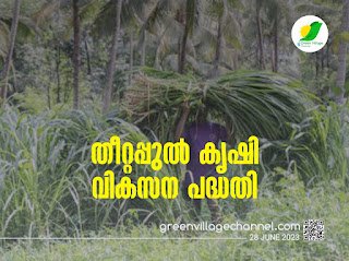 IMG 20230628 WA0034