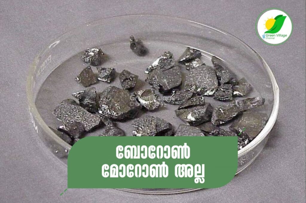 IMG 20230629 WA0005 1024x680