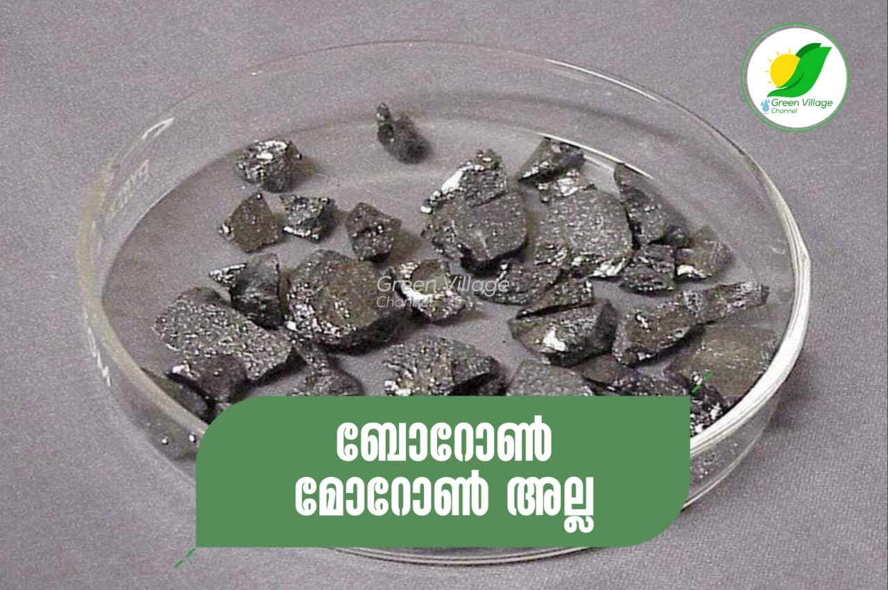 IMG 20230629 WA0005