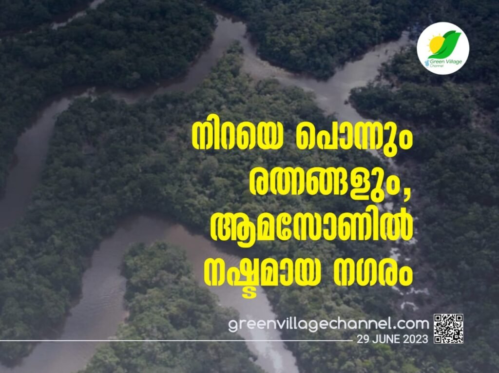 IMG 20230629 WA0064 1024x764