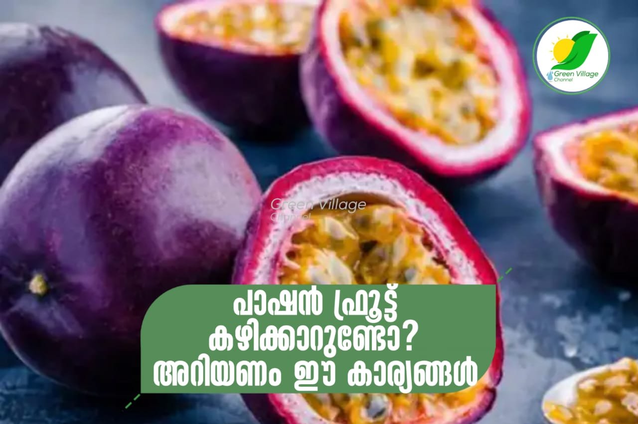 IMG 20230629 WA0069