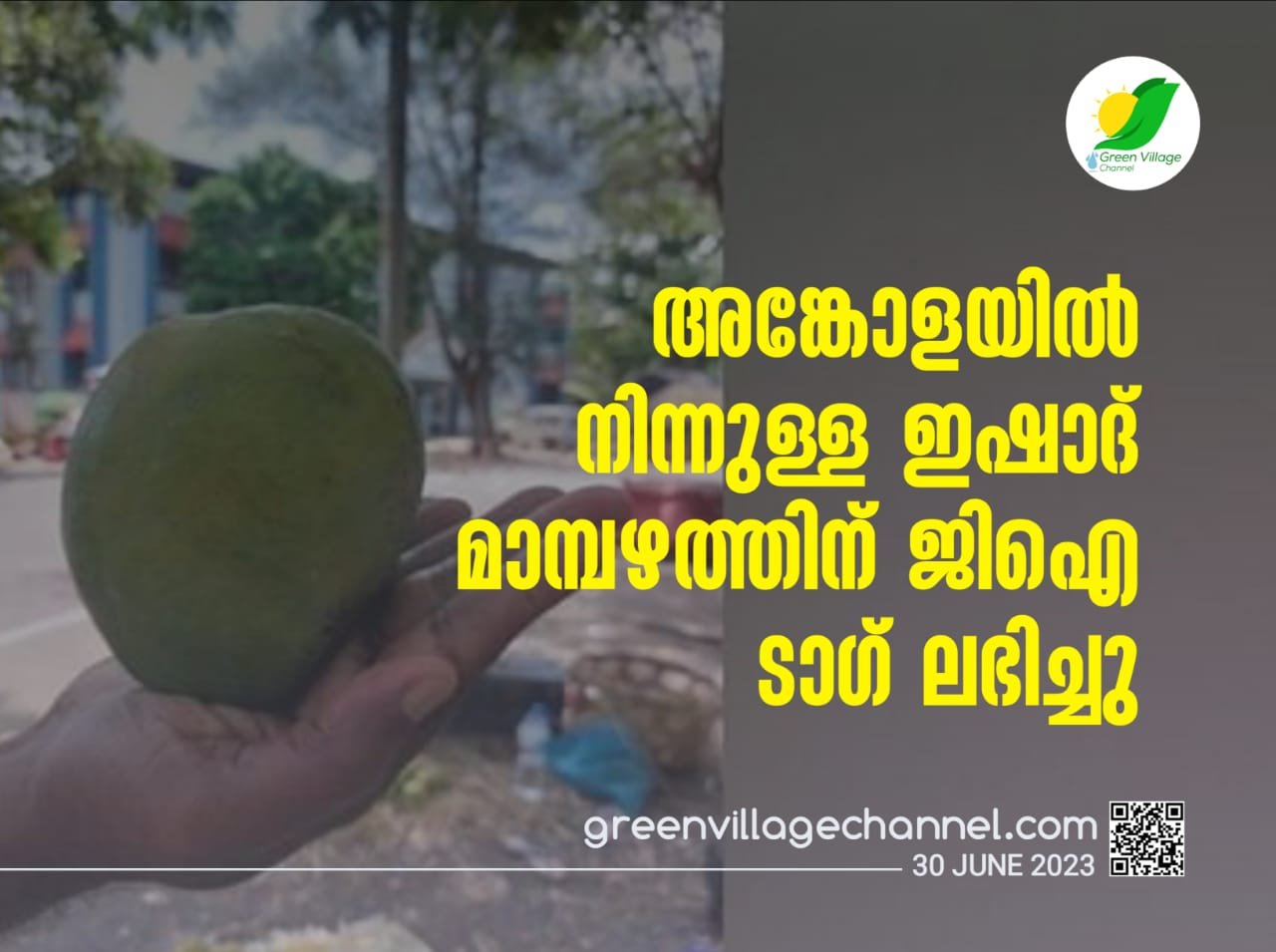 IMG 20230630 WA0003