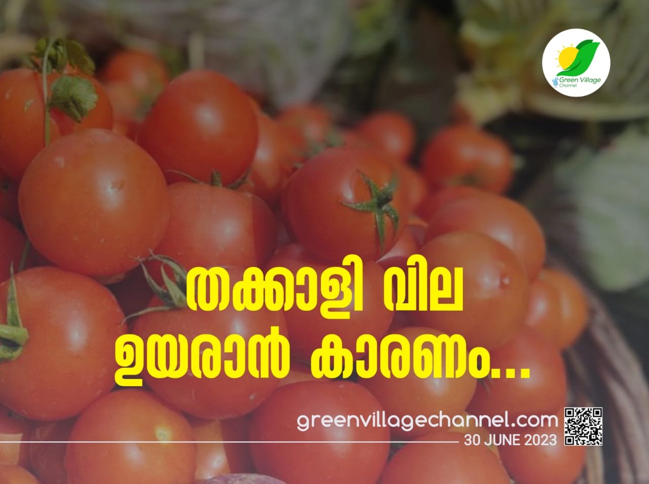 IMG 20230630 WA0006