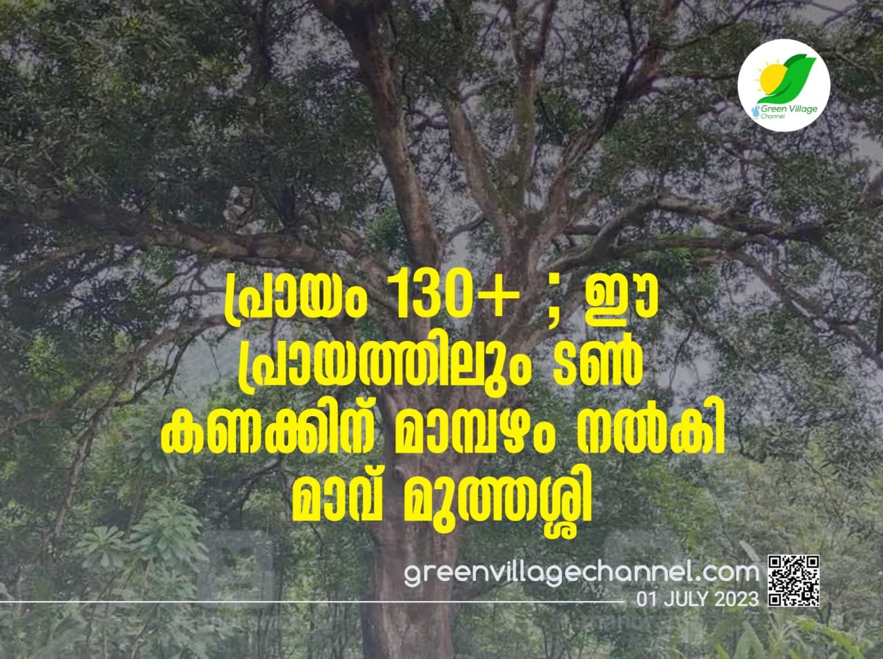 IMG 20230701 WA0003