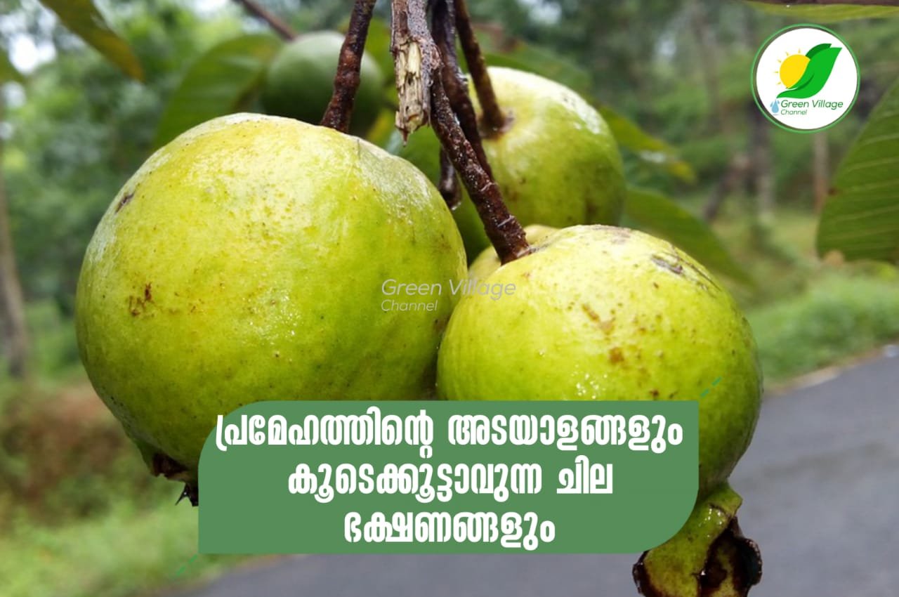 IMG 20230701 WA0004