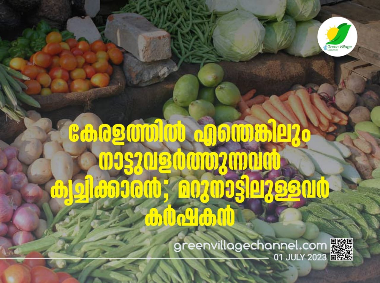 IMG 20230701 WA0005