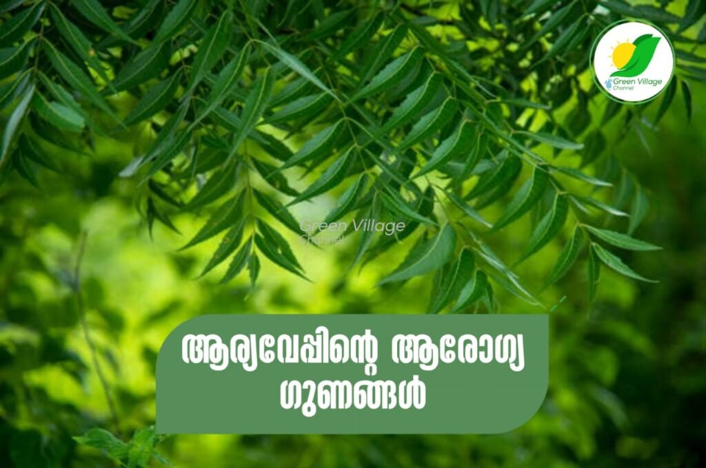 IMG 20230702 WA0002 1024x680