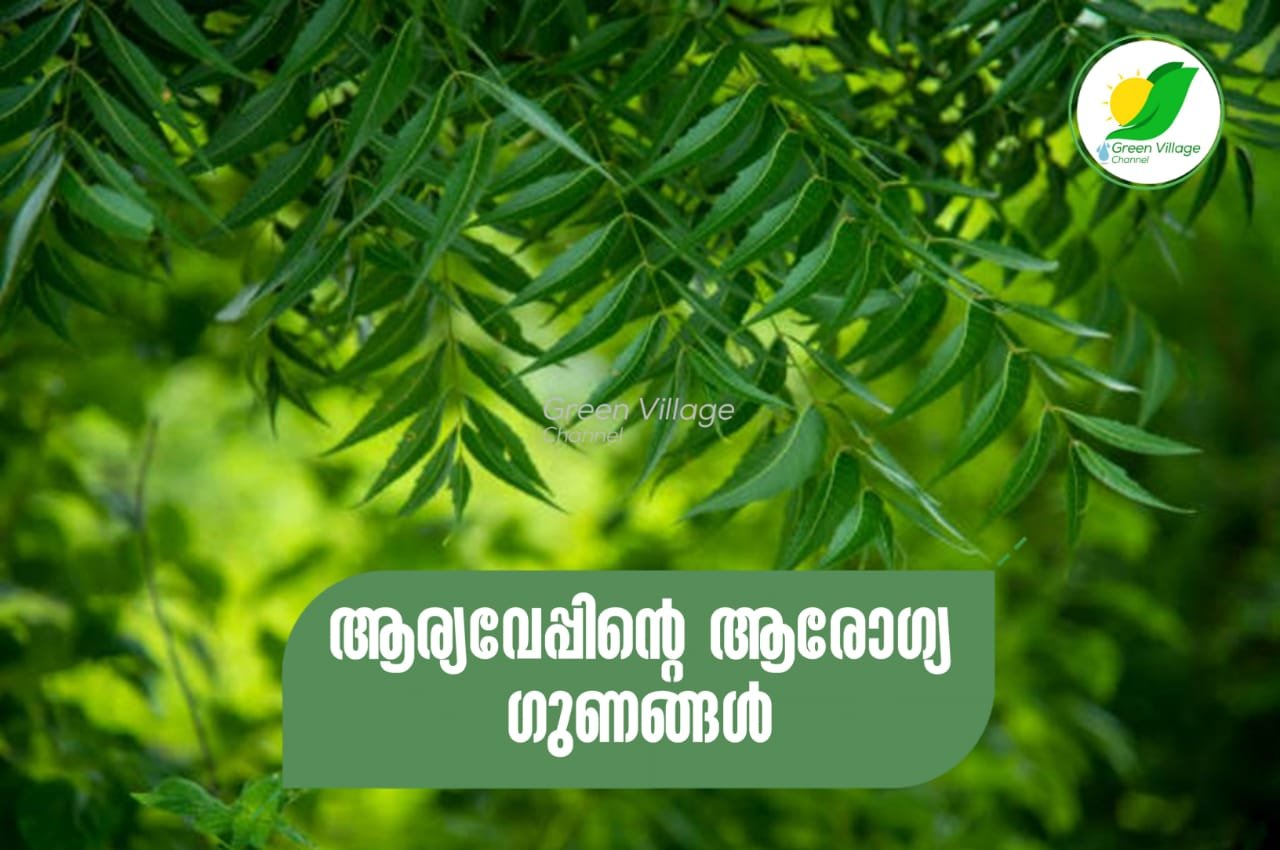 IMG 20230702 WA0002