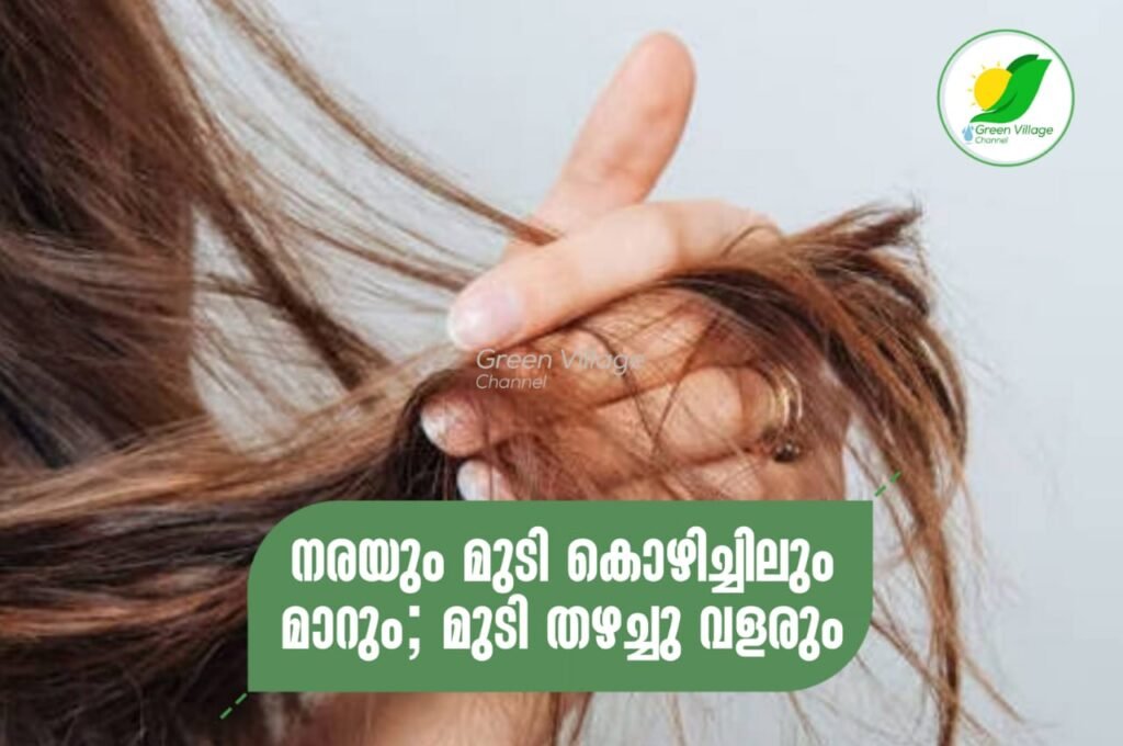 IMG 20230702 WA0003 1024x680