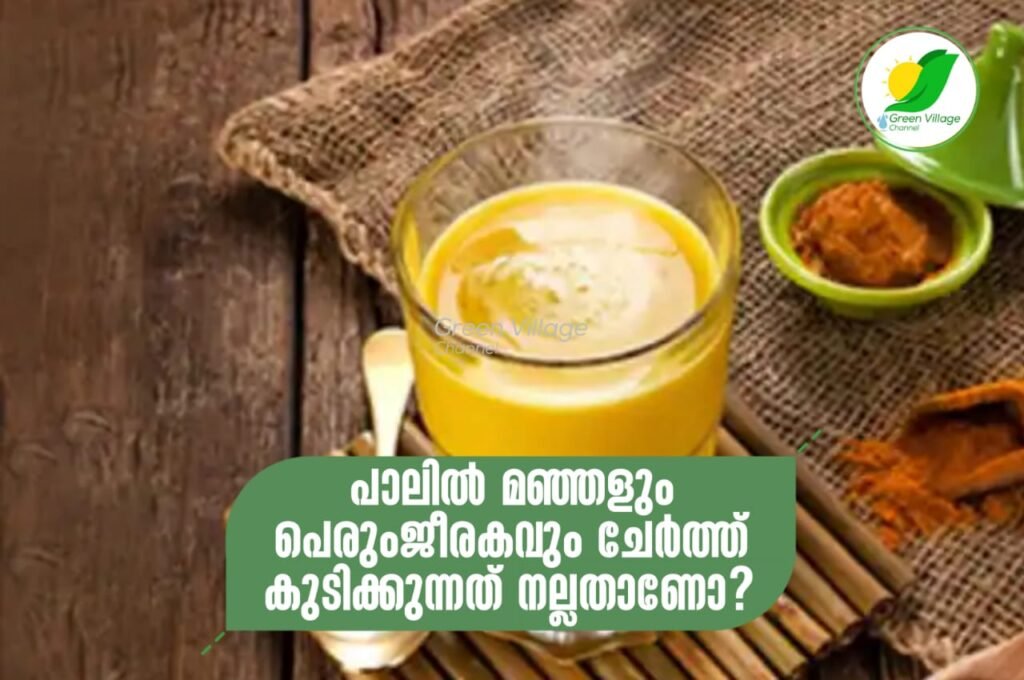 IMG 20230705 WA0009 1024x680