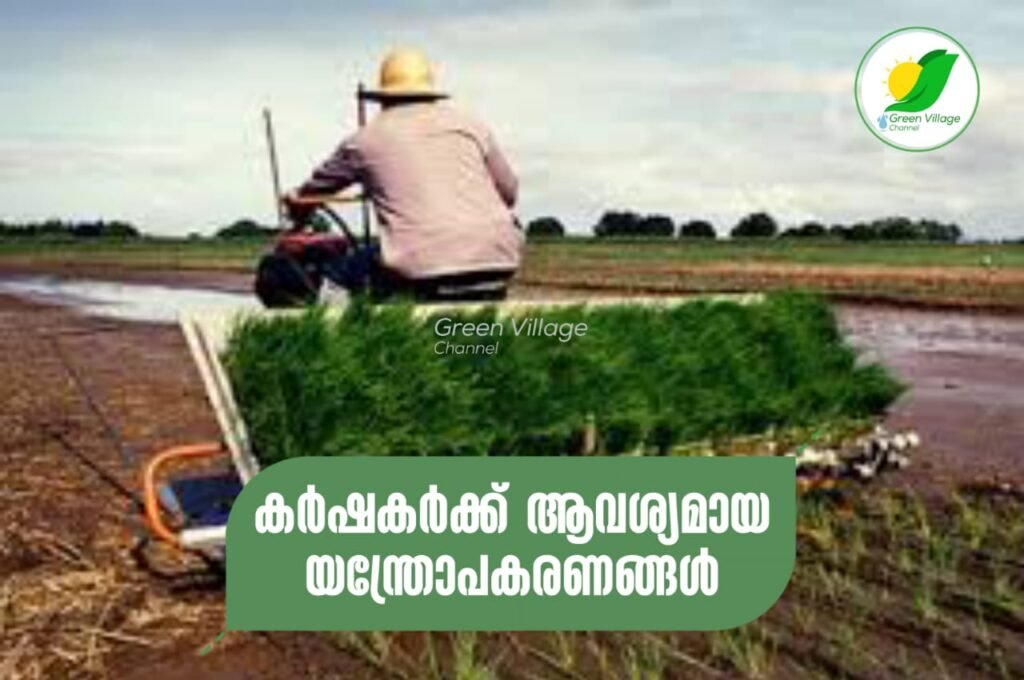 IMG 20230705 WA0017 1024x680