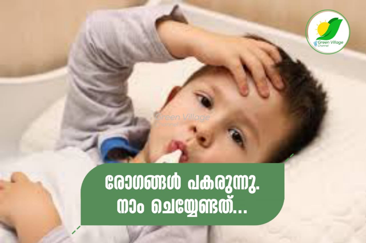 IMG 20230705 WA0023