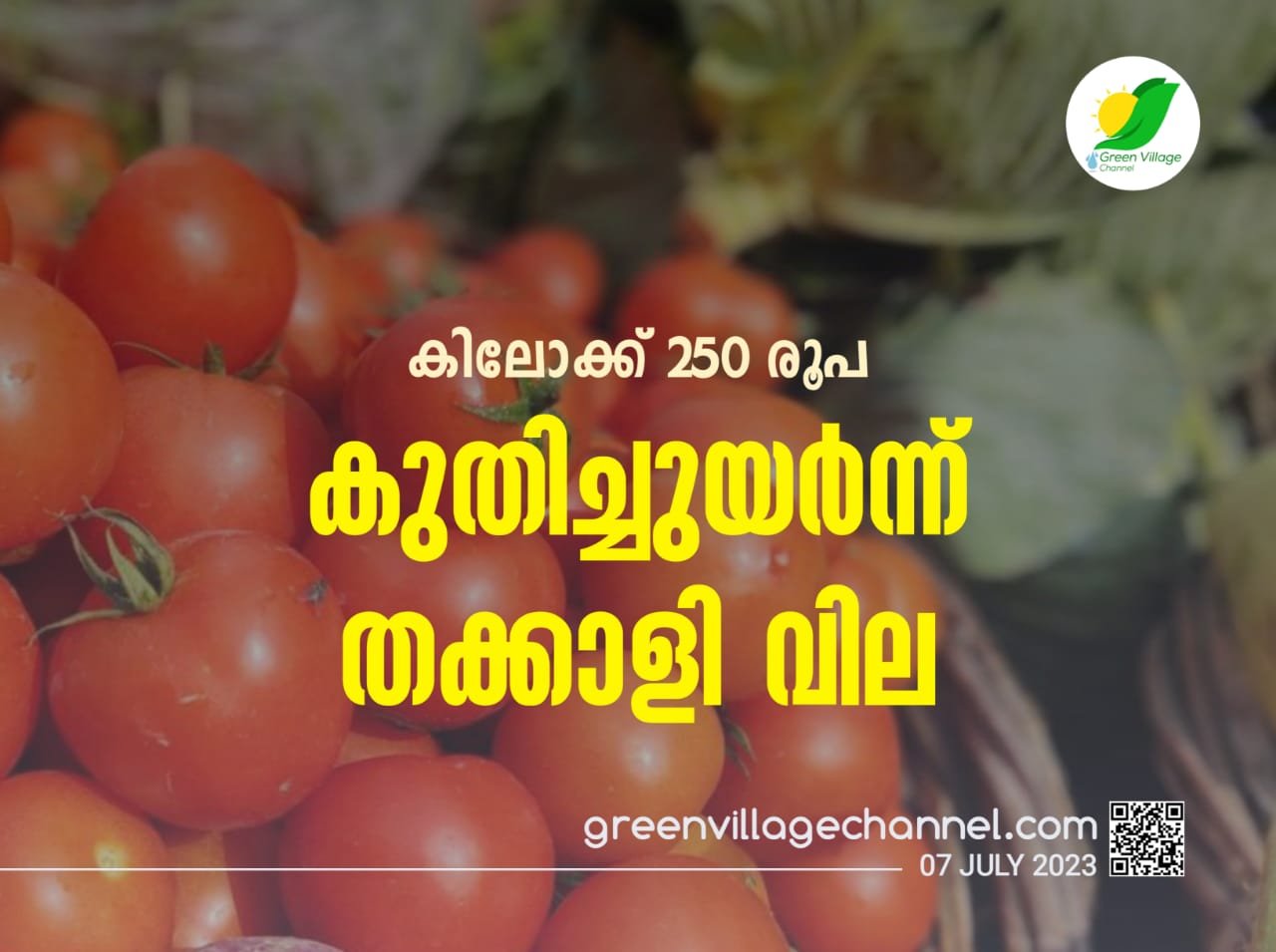 IMG 20230707 WA0019
