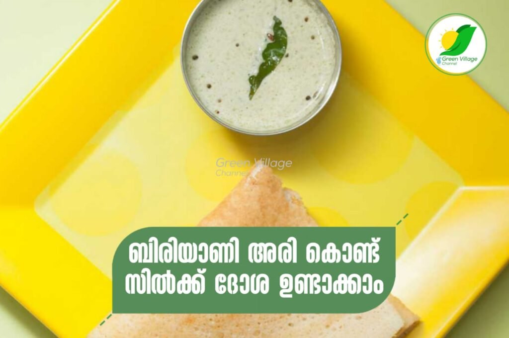 IMG 20230709 WA0119 1024x680
