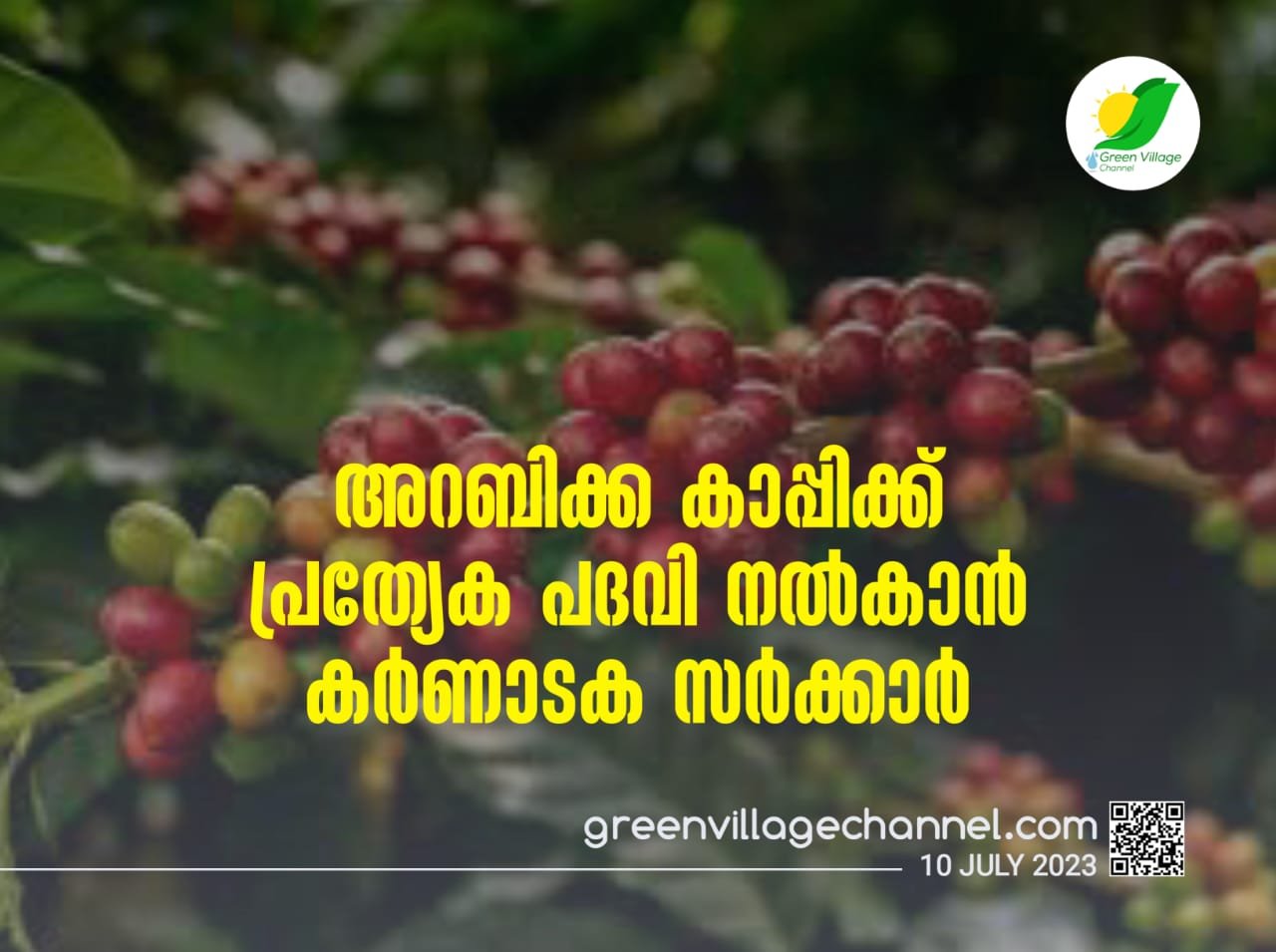 IMG 20230710 WA0017