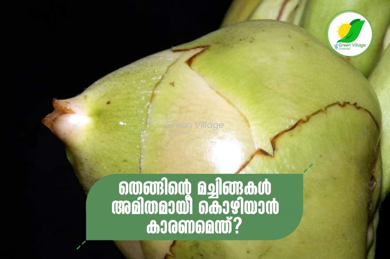 IMG 20230710 WA0019