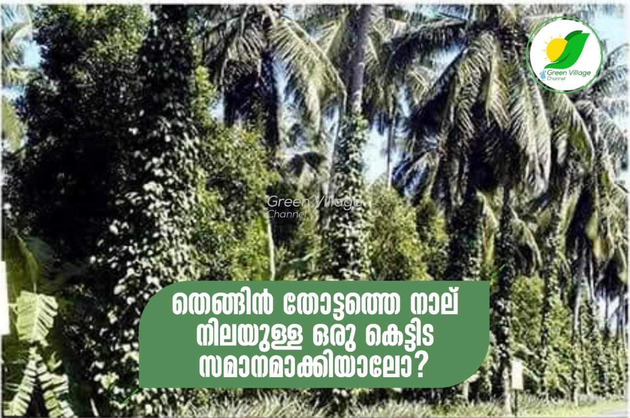 IMG 20230713 WA0033
