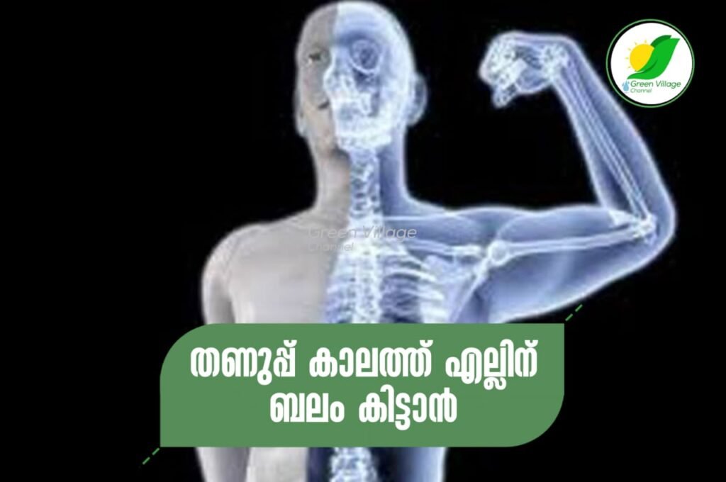 IMG 20230713 WA0045 1024x680