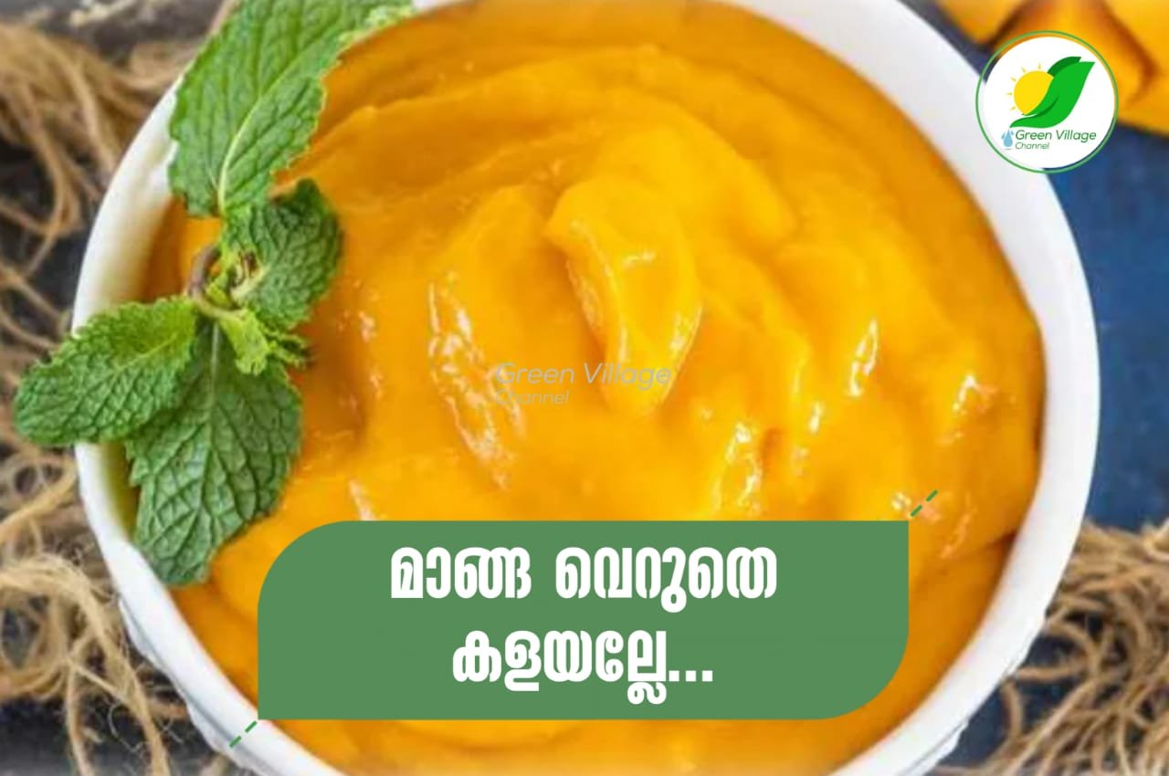 IMG 20230713 WA0046