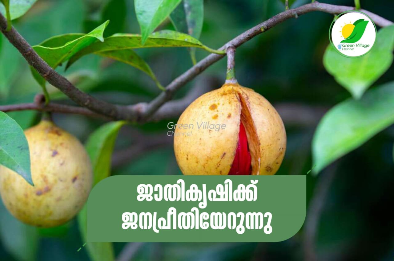 IMG 20230714 WA0032